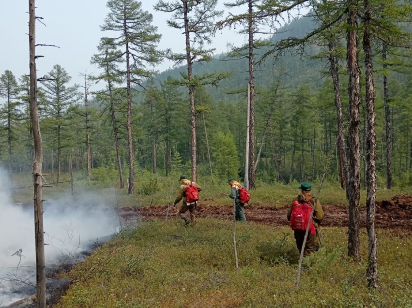 Шесть лесных пожаров ликвидировано за последние сутки в Забайкалье	