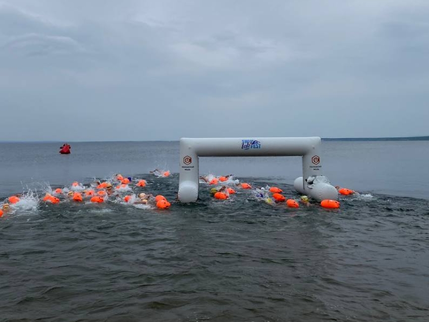 ​Более 200 человек приняли участие в фестивале ZabSwimFest-2024