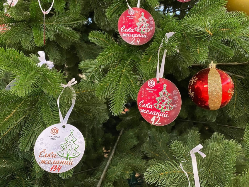 «Удоканская медь» запустила в Забайкалье детскую благотворительную акцию «Ёлка желаний» 