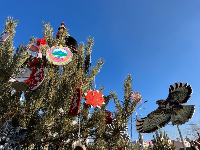 Ёлка Дульдургинского района стала лучшей в Забайкалье