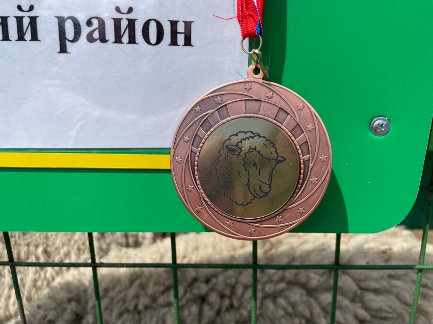 В Забайкалье пройдёт юбилейная выставка овец и коз