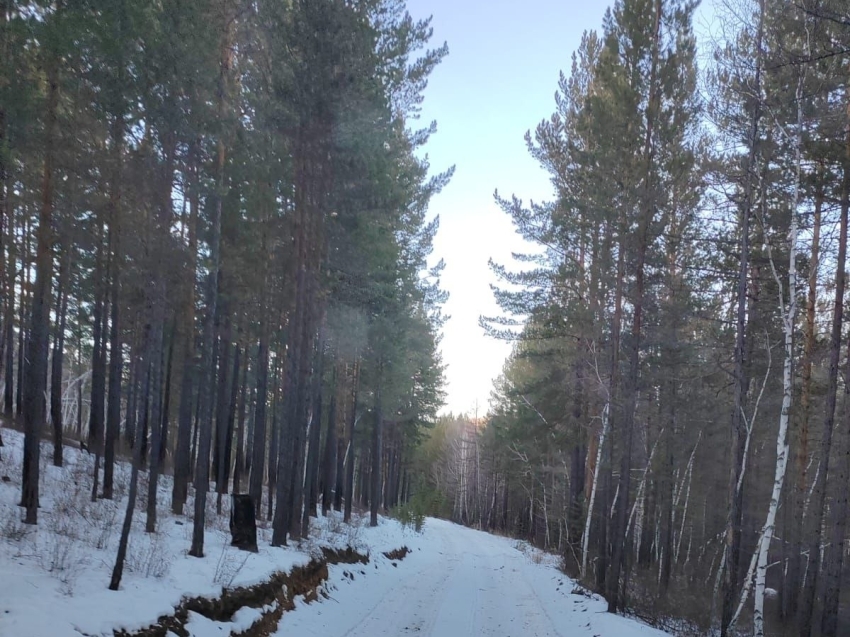 ​В Минприроды Забайкальского края проверят знания кандидатов в производственные охотничьи инспектора 