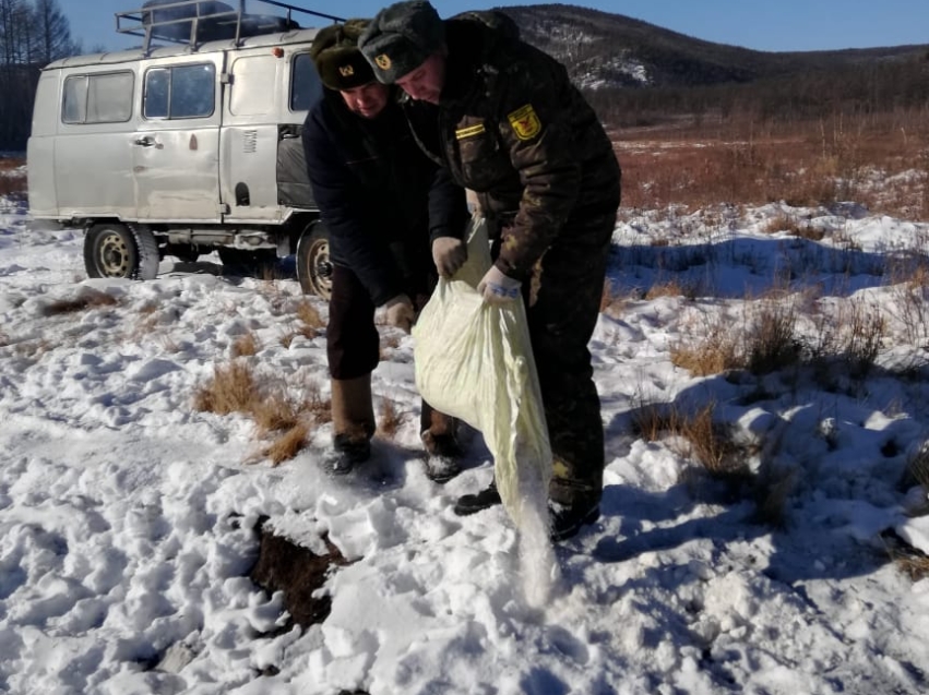 ​Сотрудники Минприроды Забайкалья провели рейды по территории заказников «Читинский» и «Никишинский»