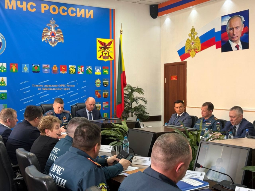 Лесные пожарные планируют локализовать 12 и ликвидировать 4 возгорания в Забайкалье