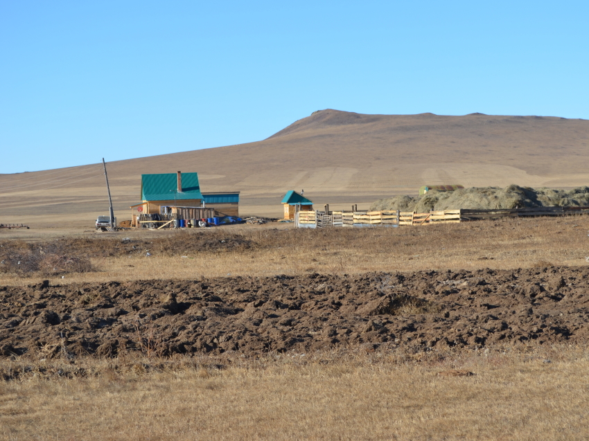 ​Заявки на участие в конкурсе «Агростартап» подали 142 жителя Забайкалья