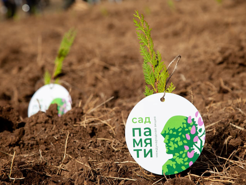 17 мая по всей России пройдёт патриотическая акция в память о погибших военных журналистах