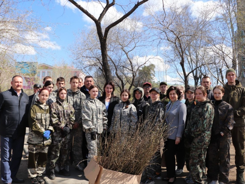 В Чите высадили 400 саженцев акации 