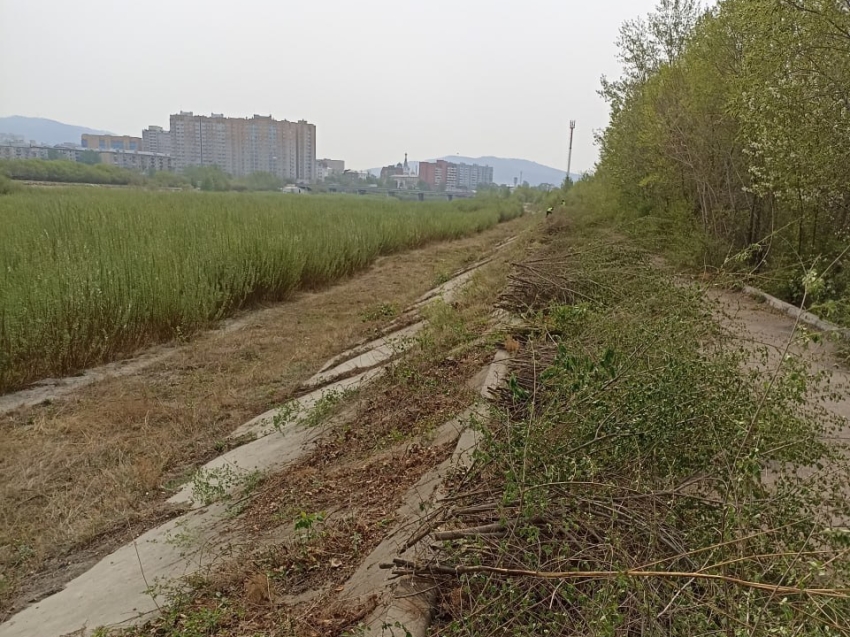 ​Защитную дамбу на реке Чита очистят от кустарников