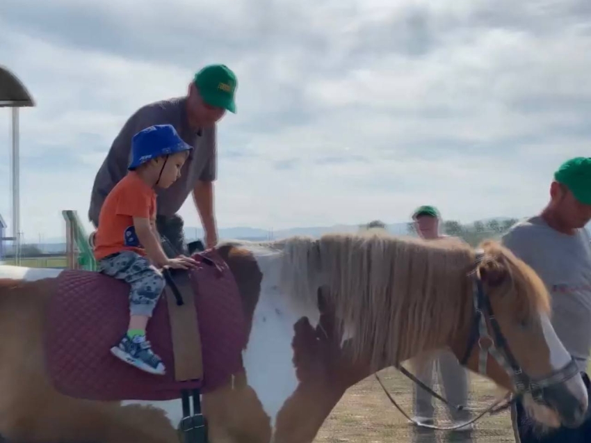 Отделение иппотерапии центра «Росток» возобновило работу после карантина