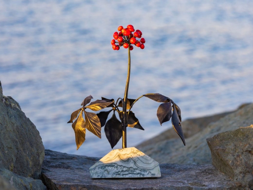 ​Журналисты из Забайкалья успешно приняли участие в конкурсе природоохранной журналистики «Живая тайга»