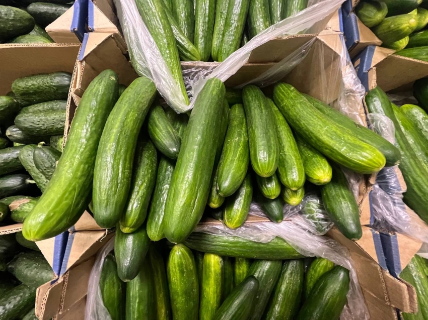 В Забайкалье за неделю стали дороже свежие огурцы и услуги гостиниц, а куриные яйца и техника — дешевле