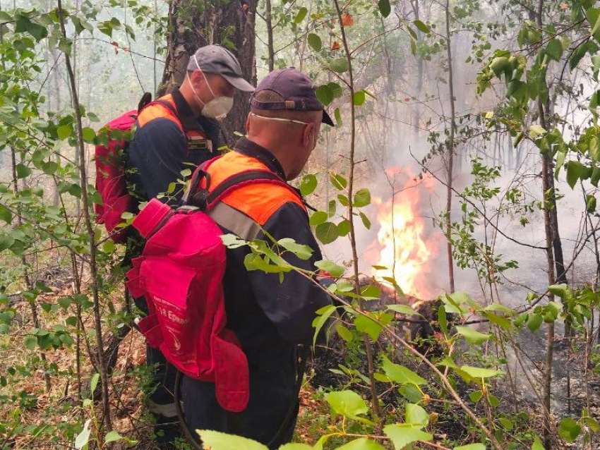 Добровольцам выдано ещё 40 ранцев-огнетушителей для борьбы с лесными пожарами в Забайкалье 