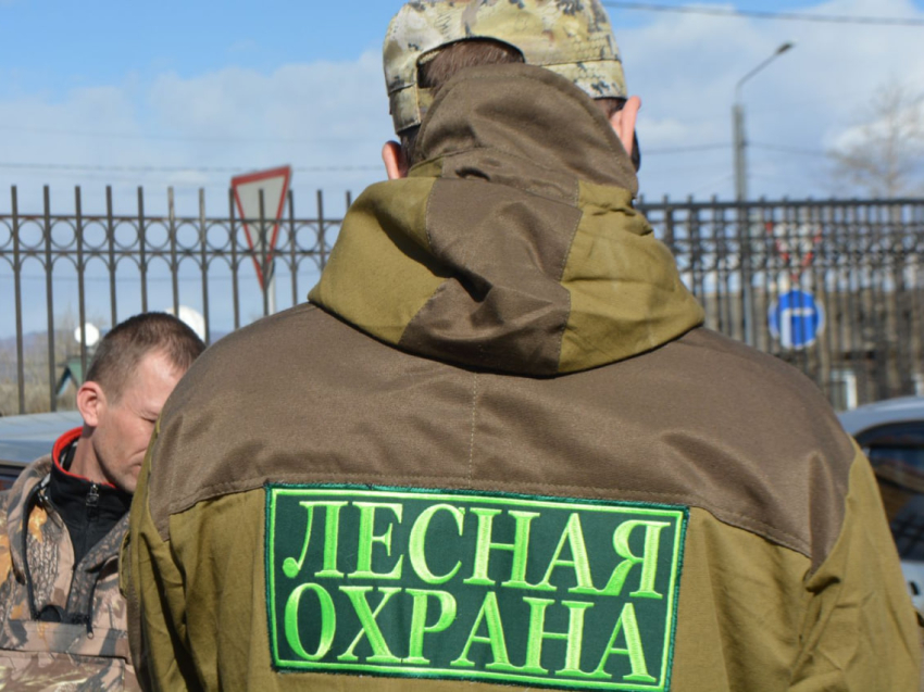 За самовольно занятые лесные участки жители Забайкалья привлечены к ответственности