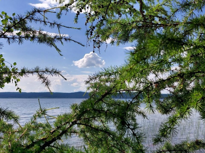 ​В Забайкальском крае отменен особый противопожарный режим