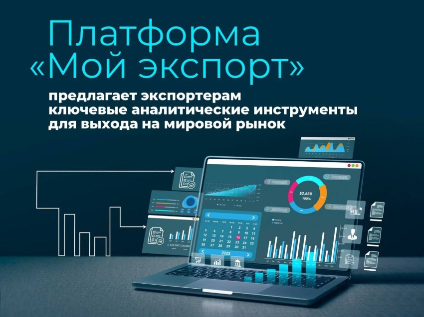 На платформе «Мой экспорт» начал работать новый онлайн-сервис «Экспортные ниши»