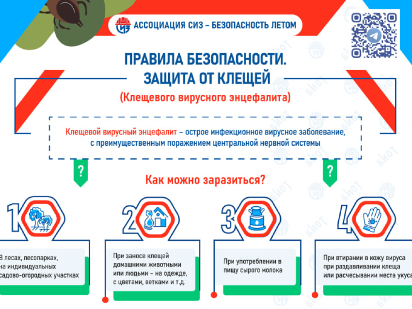 Ассоциация «СИЗ» напомнила жителям Забайкалья о безопасности с клещами