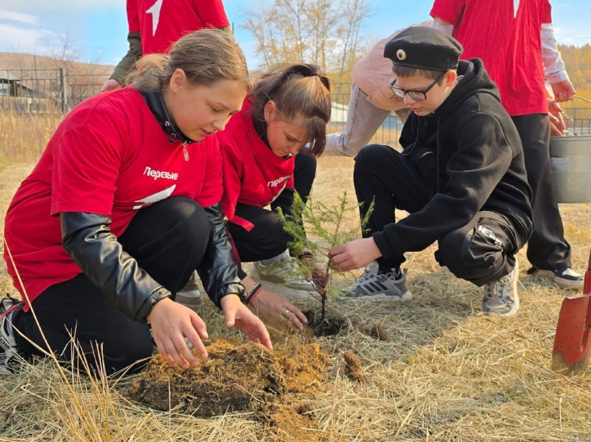 Забайкальцев приглашают принять участие в Международном экологическом конкурсе «ЭкоМир-2025»
