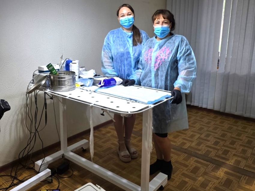 В Чернышевском округе организовали работу мобильной бригады ветеринарных врачей