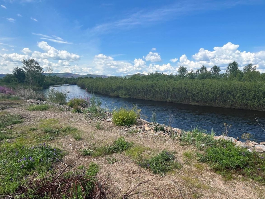 Временные насыпи спасают от подтопления Шишкино-Остров