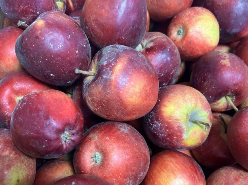 ​Яблоки в Забайкалье этим летом  подорожали - теперь они сравнялись с ценами в других регионах ДФО 