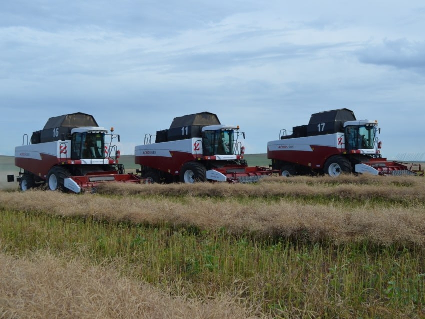 ​Племзавод «Комсомолец» в Забайкалье ожидает рекордный для предприятия сбор 40 тысяч тонн рапса