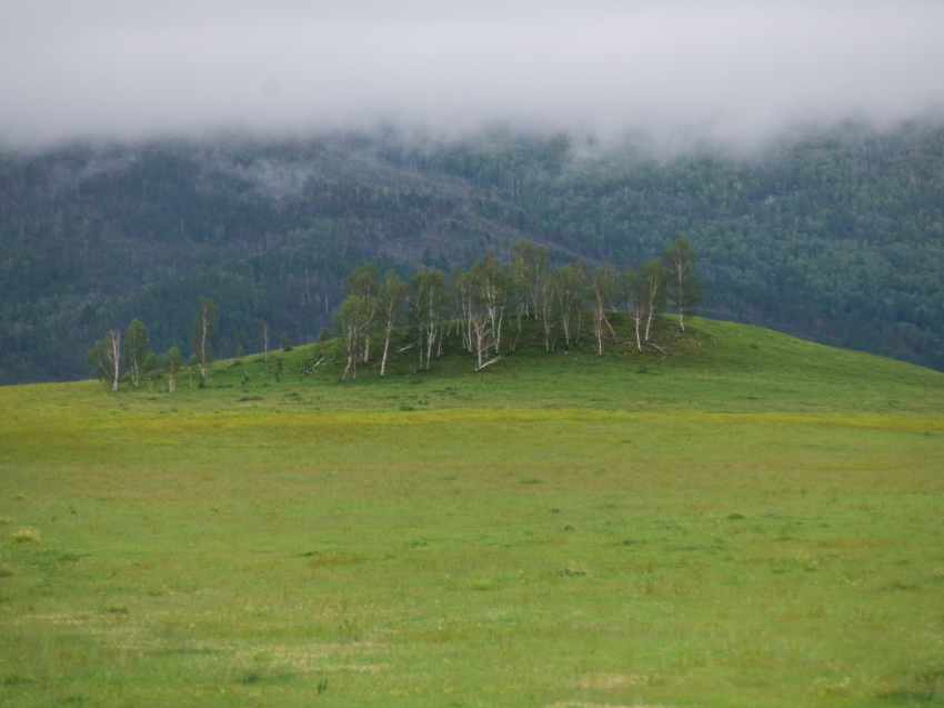 Школьник из Каларского округа сделал свою модель нейросети и написал песню о Забайкальском крае 