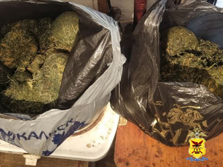 В Забайкалье подвели итоги третьего этапа оперативно-профилактической операции «МАК-2025»