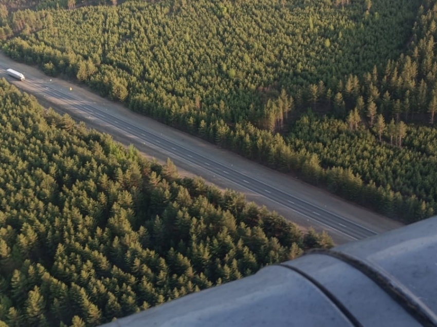 Забайкальцам, оформившим ДВ гектар на землях лесного фонда, необходимо провести компенсационное лесовосстановление