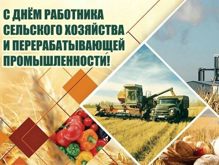 Сенаторы РФ поздравили забайкальцев с Днем работников сельского хозяйства и перерабатывающей промышленности