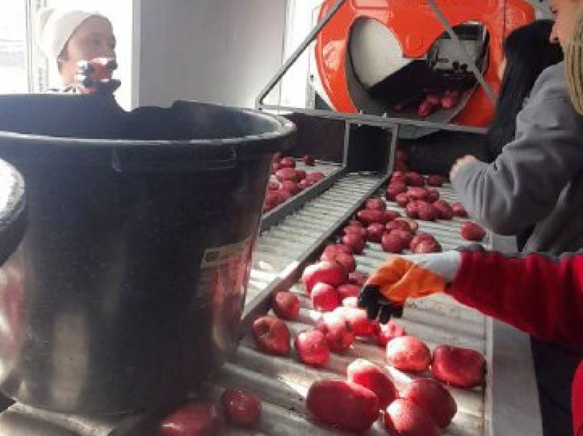 ​Забайкальские овощи в привлекательной упаковке: благодаря господдержке предприятие «Восток» открыло новое производство