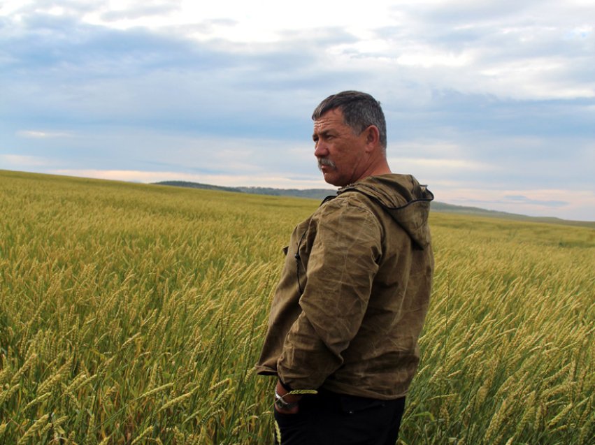 Фермер из Шилкинского района Забайкалья строит молочную ферму благодаря господдержке