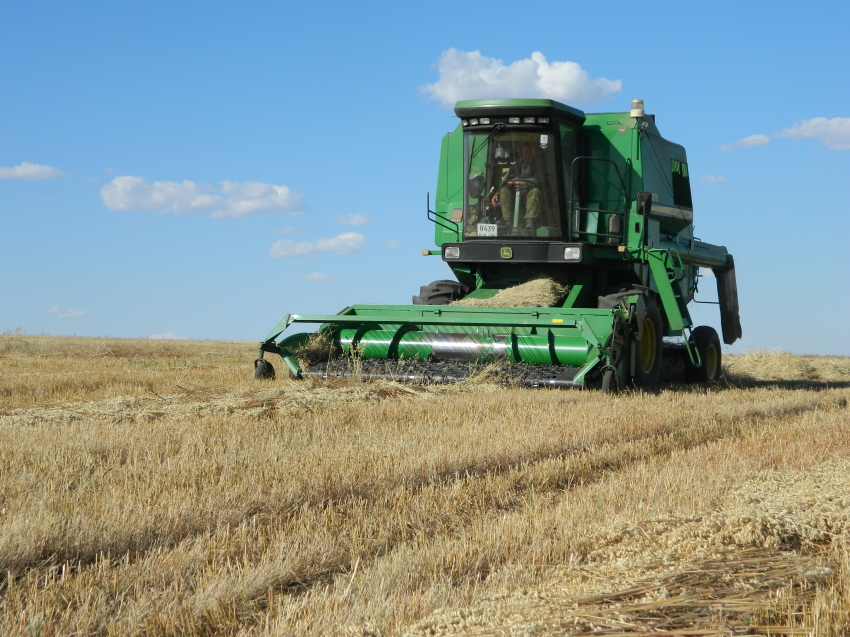​Средняя урожайность зерновых культур в Забайкалье превышает 15 центнеров с гектара