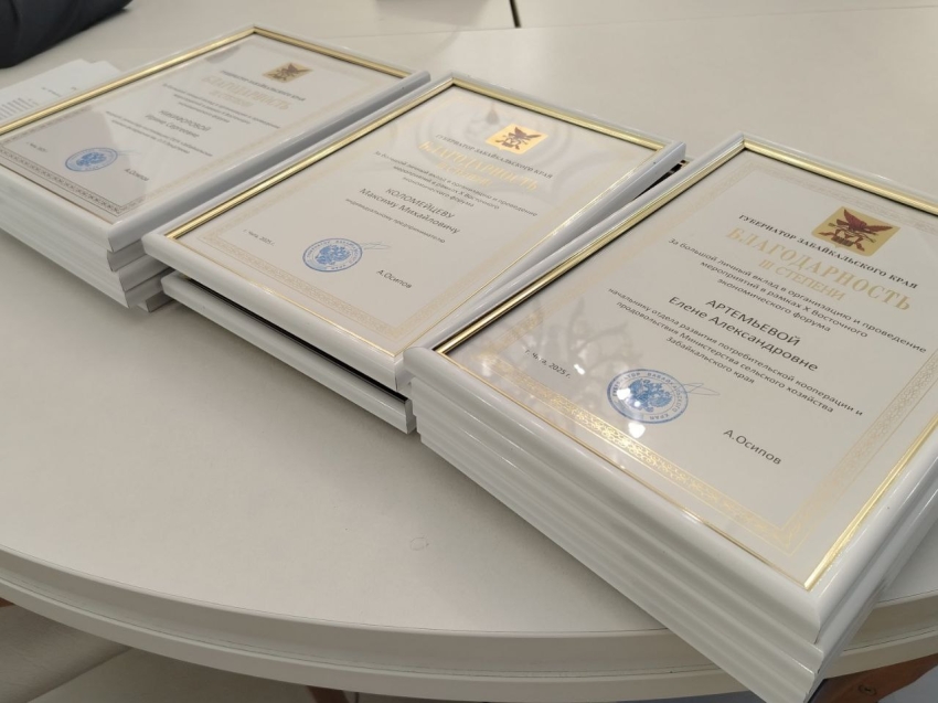 Забайкальцы получили награды за вклад в организацию юбилейного ВЭФ-2025