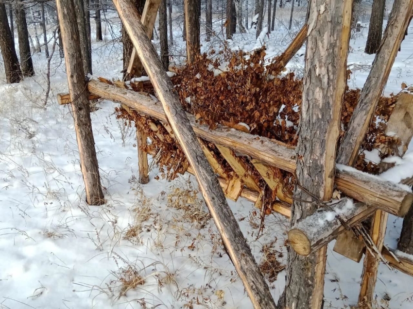 ​Заказники Забайкалья заготовили сорок тонн сена и закупили кормовую соль для обитателей охраняемых природных территорий