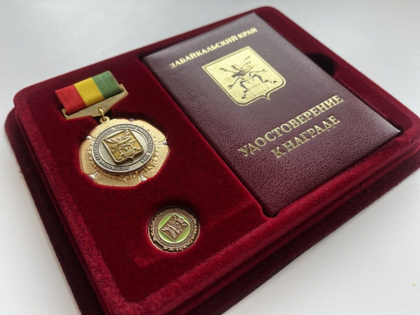Заслуги забайкальских медиков отметили государственными наградами 