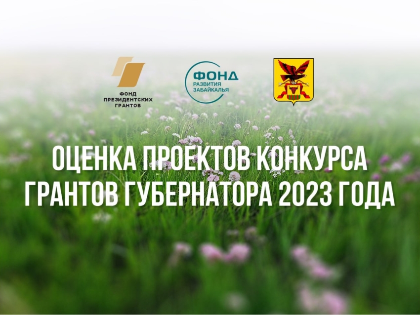 ​Более 4 тысяч забайкальцев проголосовали за ТОП-10 губернаторских проектов
