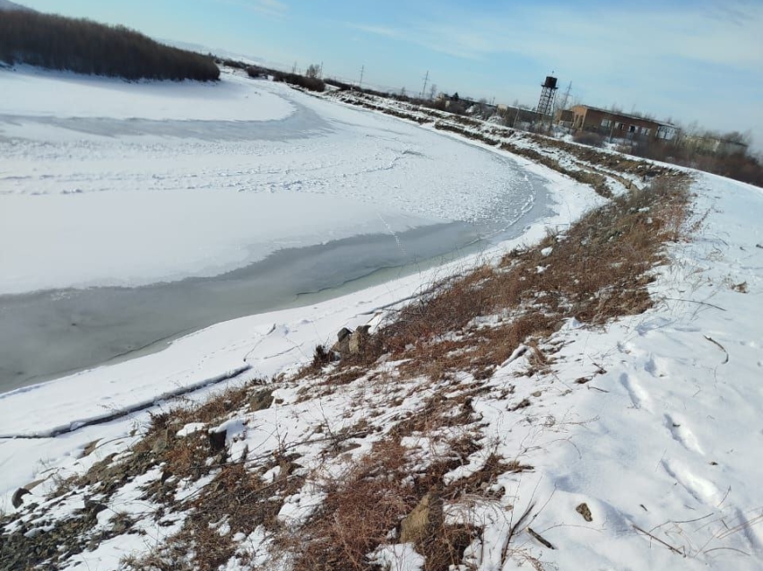 Дамбу в городе Шилке очистили от кустов и прочей растительности