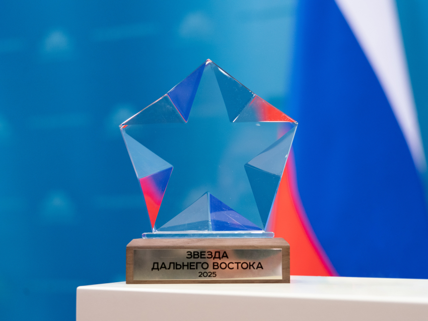Более 150 проектов в сфере инвестиций, волонтёрства и поддержки СВО поборются за премию «Звезда Дальнего Востока» 