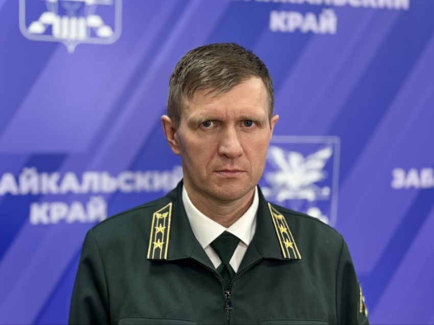 Ставки платы на дровяную горелую древесину в Забайкалье уменьшены