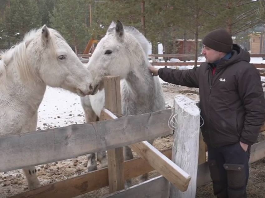 ​Забайкальские проекты стали лучшими на дальневосточной премии «Звезда Дальнего Востока»