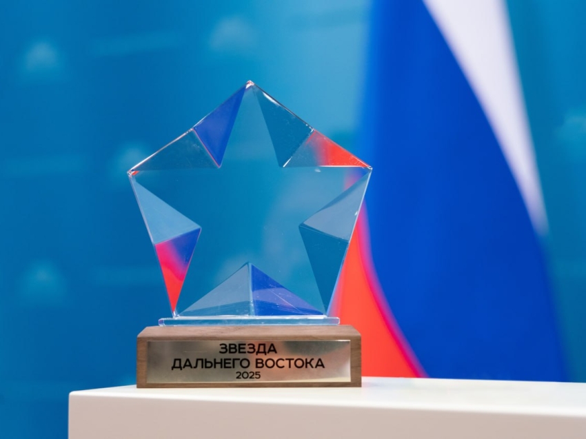 ​Лучшие волонтерские инициативы и студенческие объединения отмечены премией «Звезда Дальнего Востока»