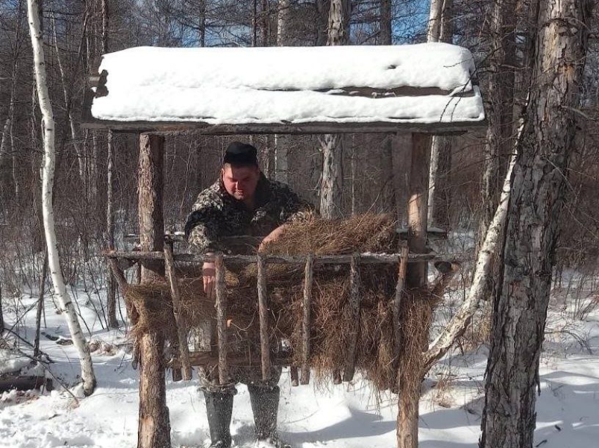 В Ивано-Арахлейском парке реализованы мероприятия по охране и управлению фауной в 2025 году