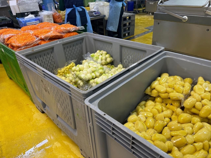 ​Агрофабрику по производству, мойке, сушке овощей запустят в Забайкалье в 2026 году