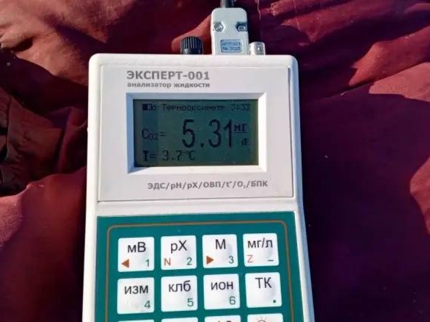 В Ивано-Арахлейском парке Забайкалья выяснили содержание кислорода в озерной воде: ситуация под контролем