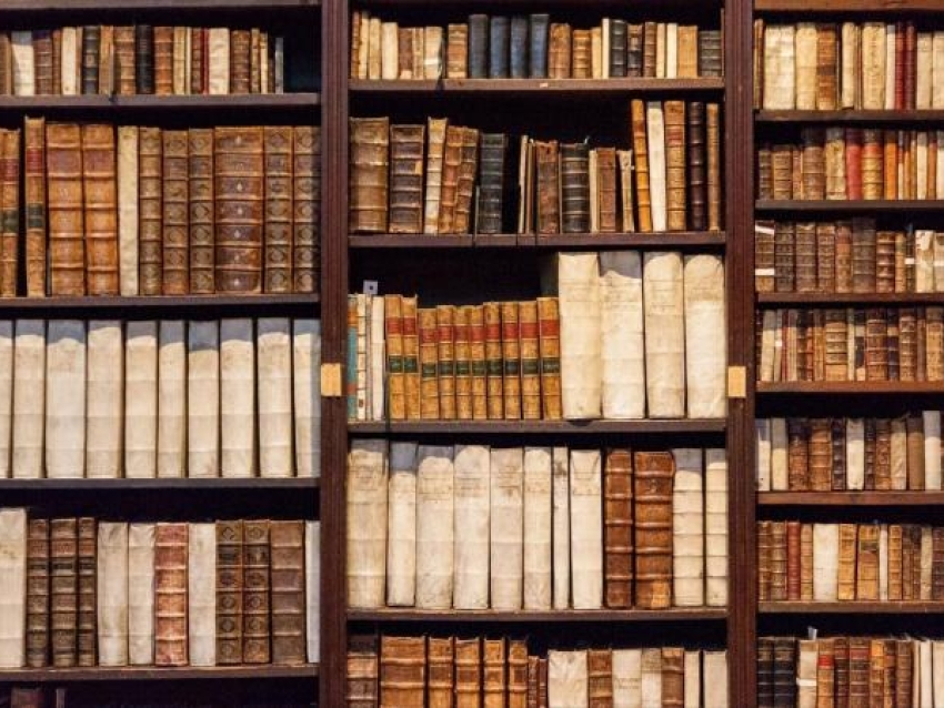 Литературный бульвар и студгородок появятся в модельной библиотеке Нерчинска