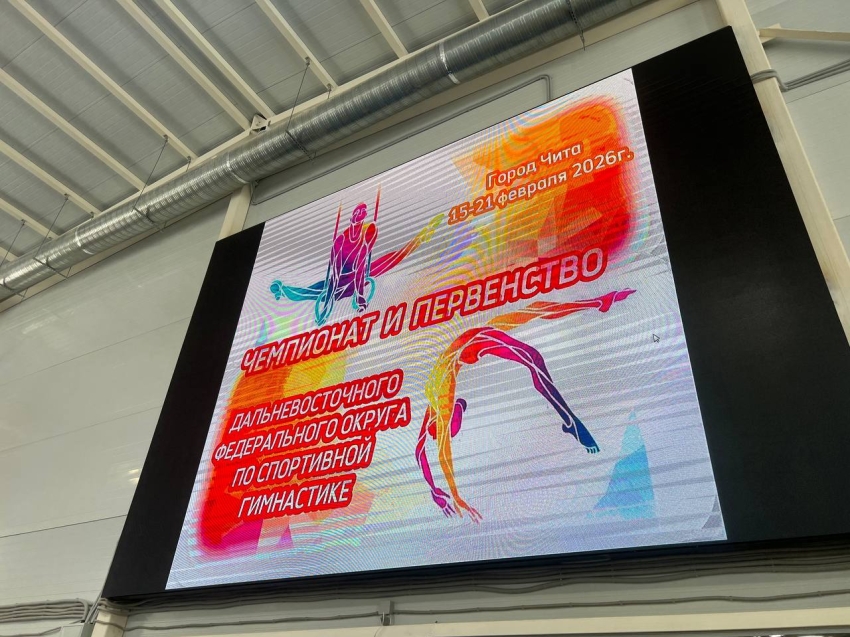 ​В Чите состоялось открытие Чемпионата и первенства ДФО по спортивной гимнастике 