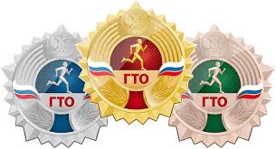 II зимний фестиваль Всероссийского физкультурно-спортивного комплекса «Готов к труду и обороне» пройдет в Чите