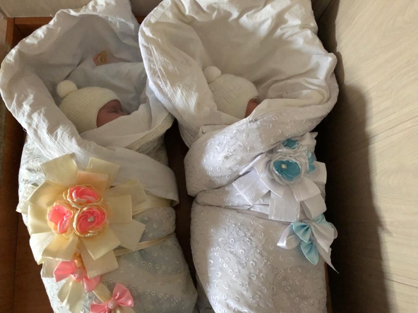 Два сердца под сердцем: первая двойня зарегистрирована в городе Петровске-Забайкальском