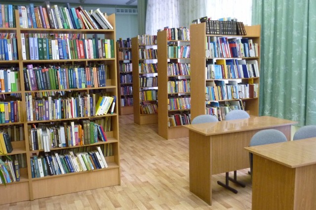 Консультативный совет руководителей муниципальных районов Забайкальского края обсудил проблемы библиотек