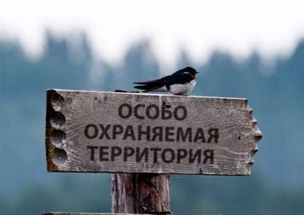 Новые особо охраняемые природные территории создадут в Забайкалье